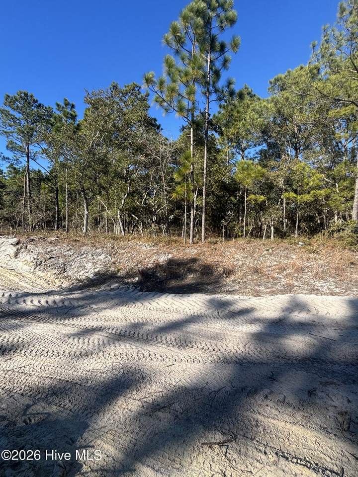 Lot 221 Starling Break Road - Photo 1