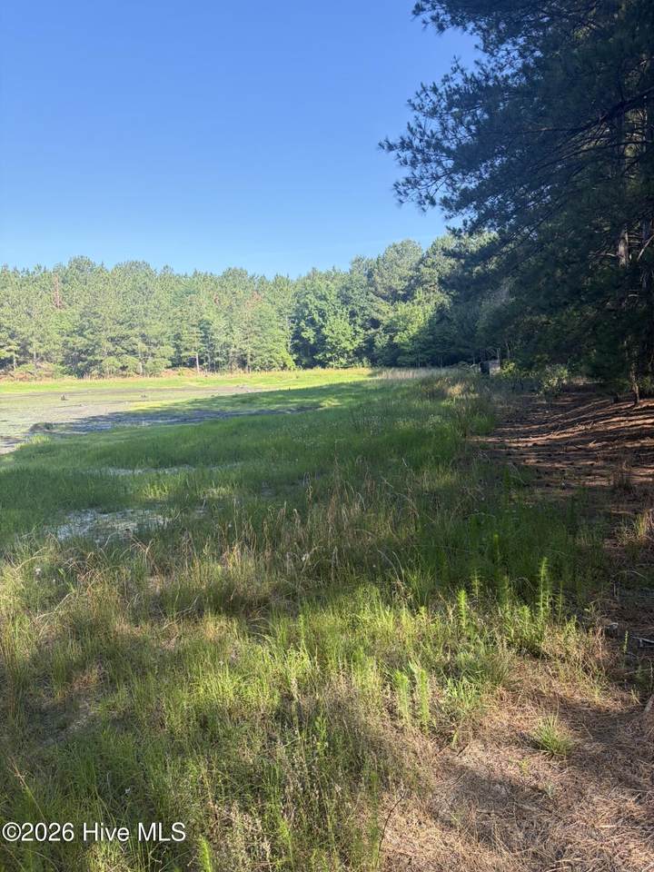 Tbd Jones Spring Church Road - Photo 1