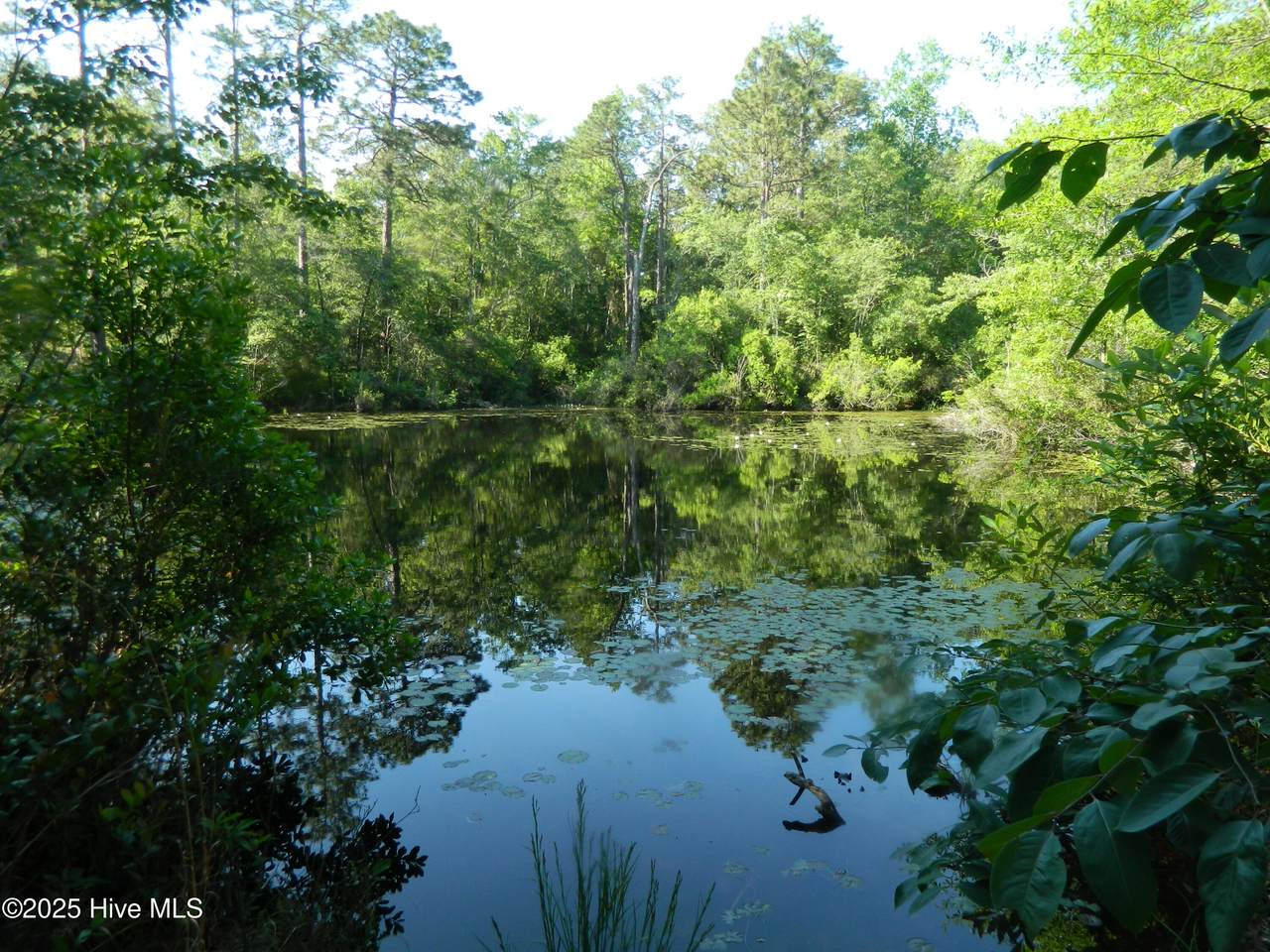 178 Laurel Oak Lane - Photo 1