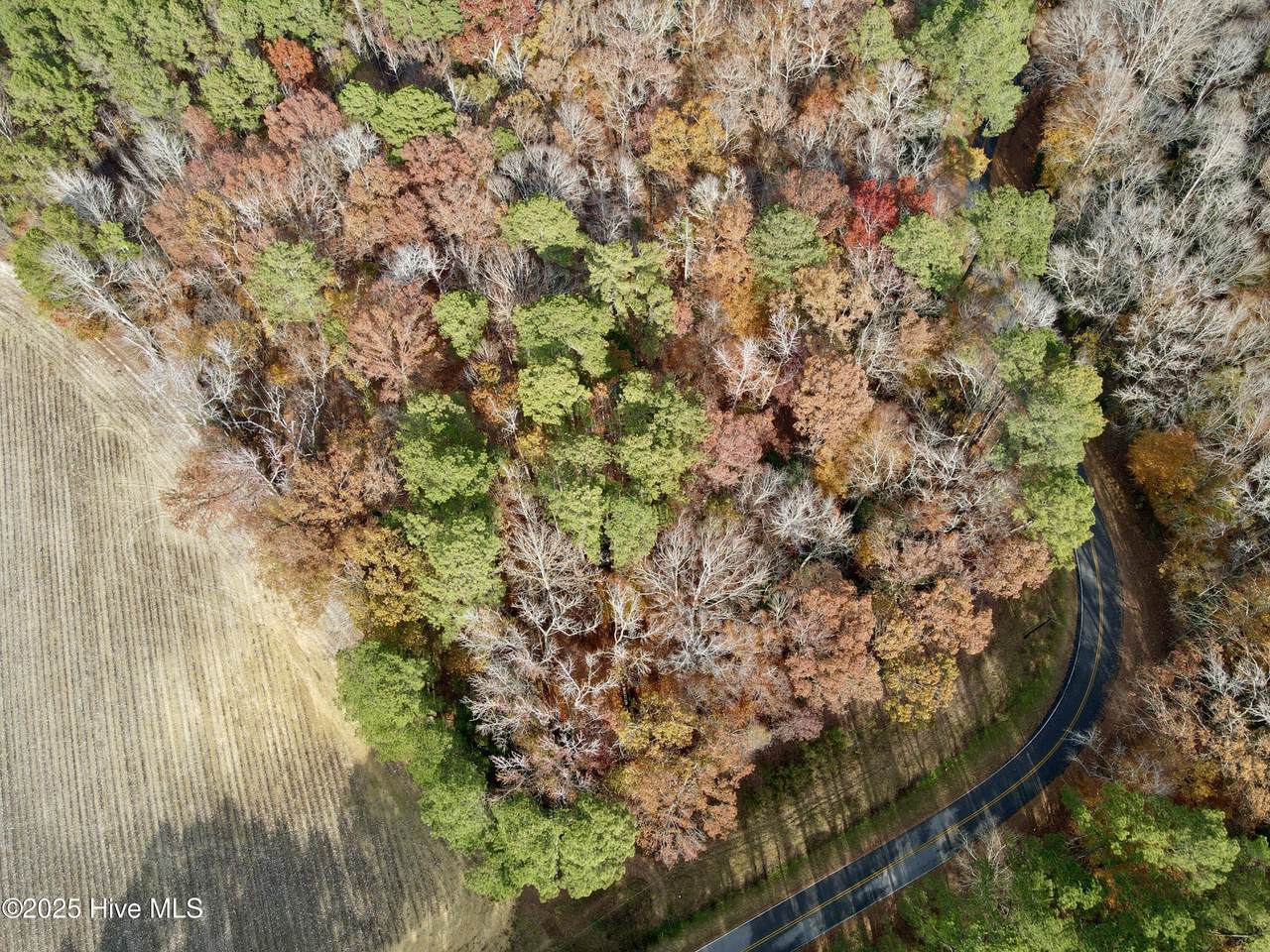 0 Williams Road - Photo 1