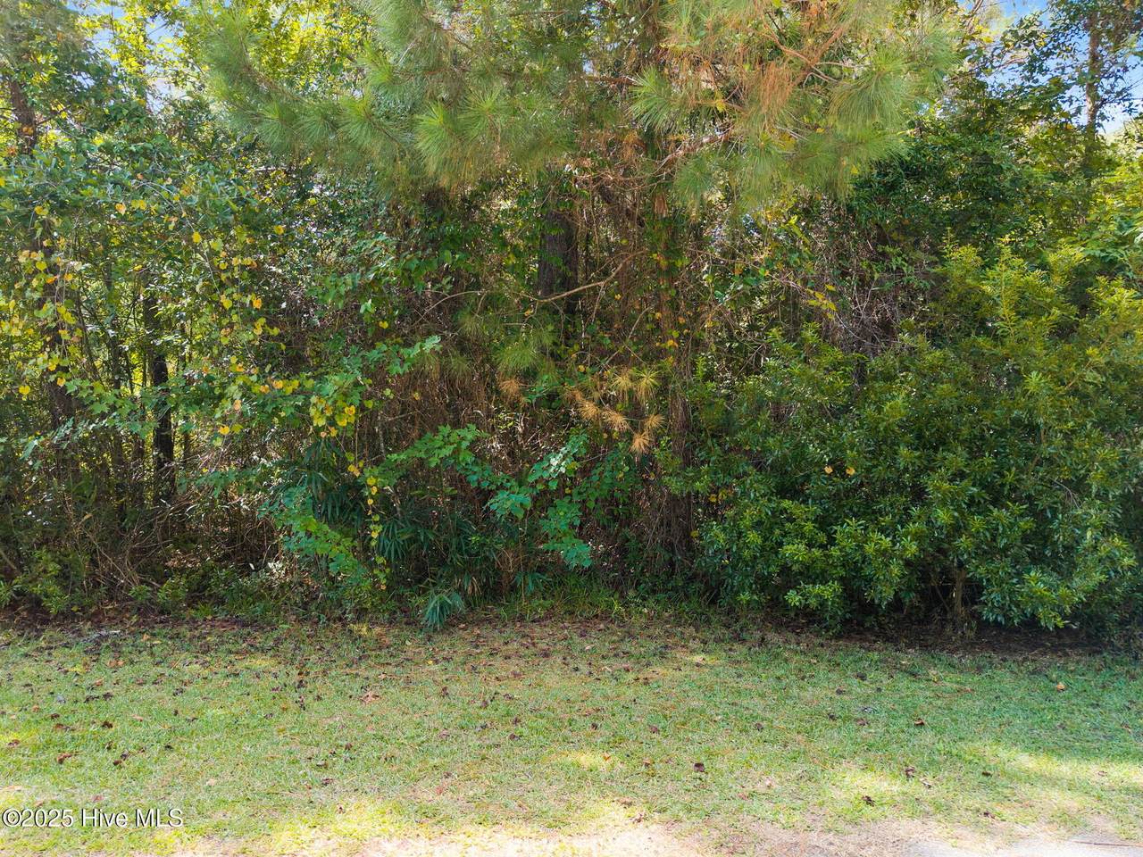 2445 Driftwood Acres Drive - Photo 1