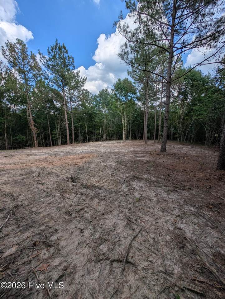 Tbd Peyton Drive - Photo 1