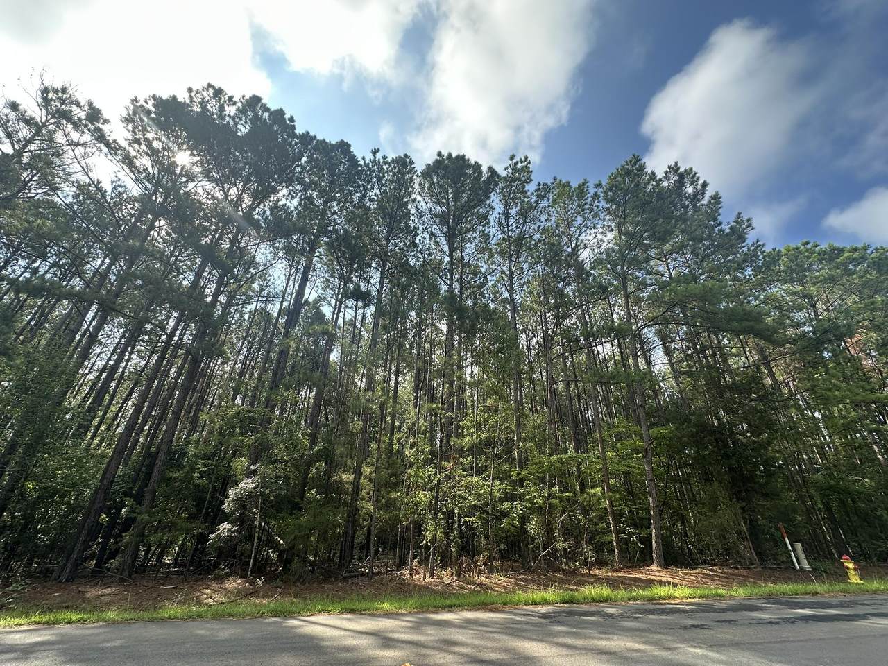Lot 2 Dogwood Lane - Photo 1