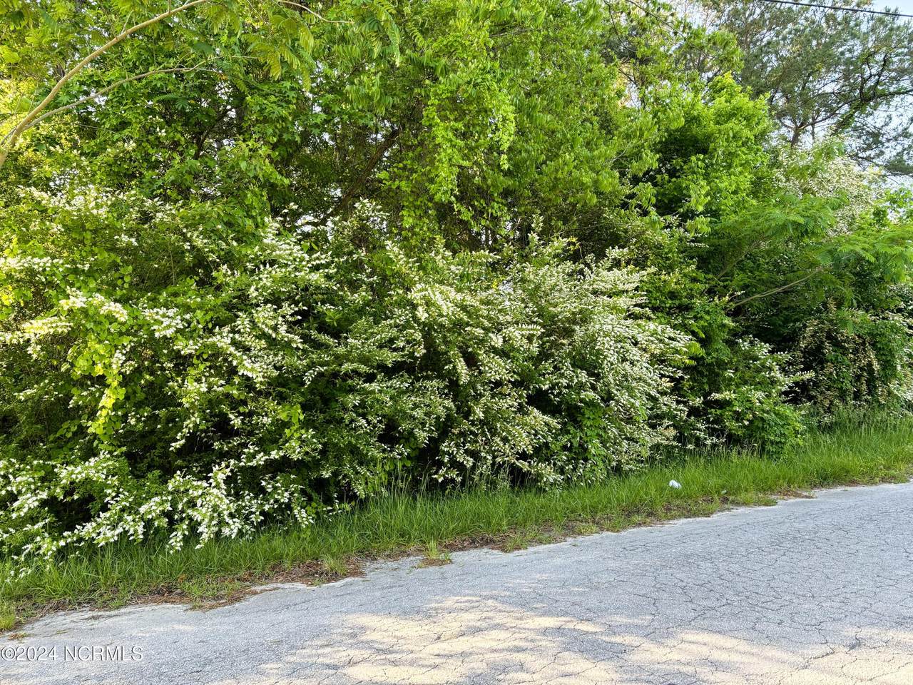 https://bt-photos.global.ssl.fastly.net/ncreg/1280_boomver_2_100440416-1.jpg
