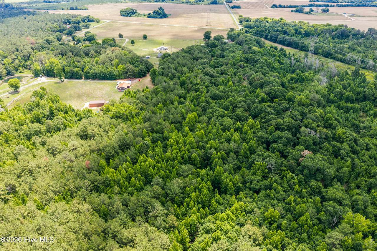 145 Horseshoe Road - Photo 1