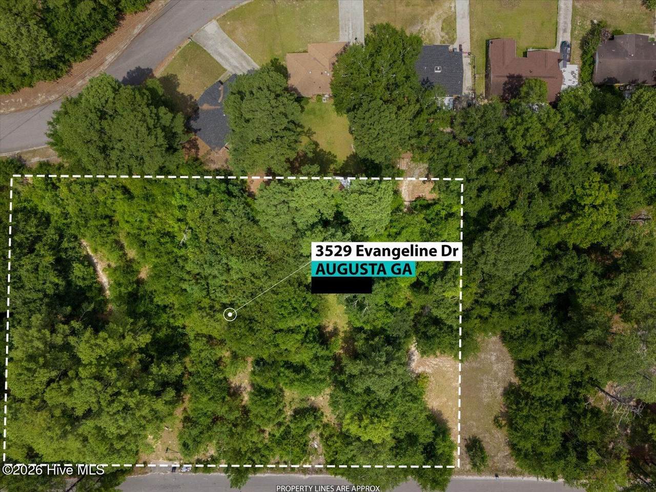 3529 Evangeline Drive - Photo 1