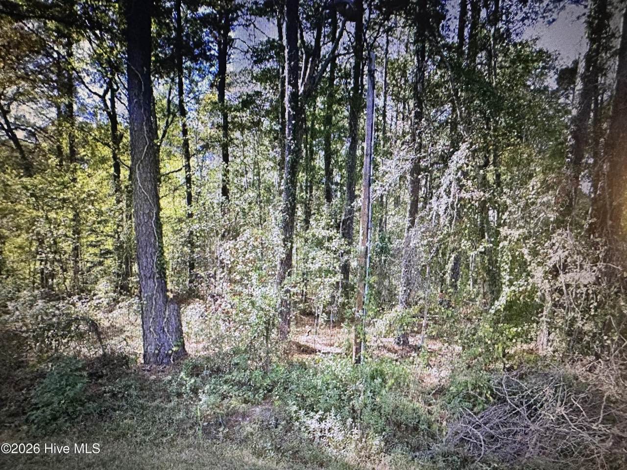Near 88 Oak Road - Photo 1