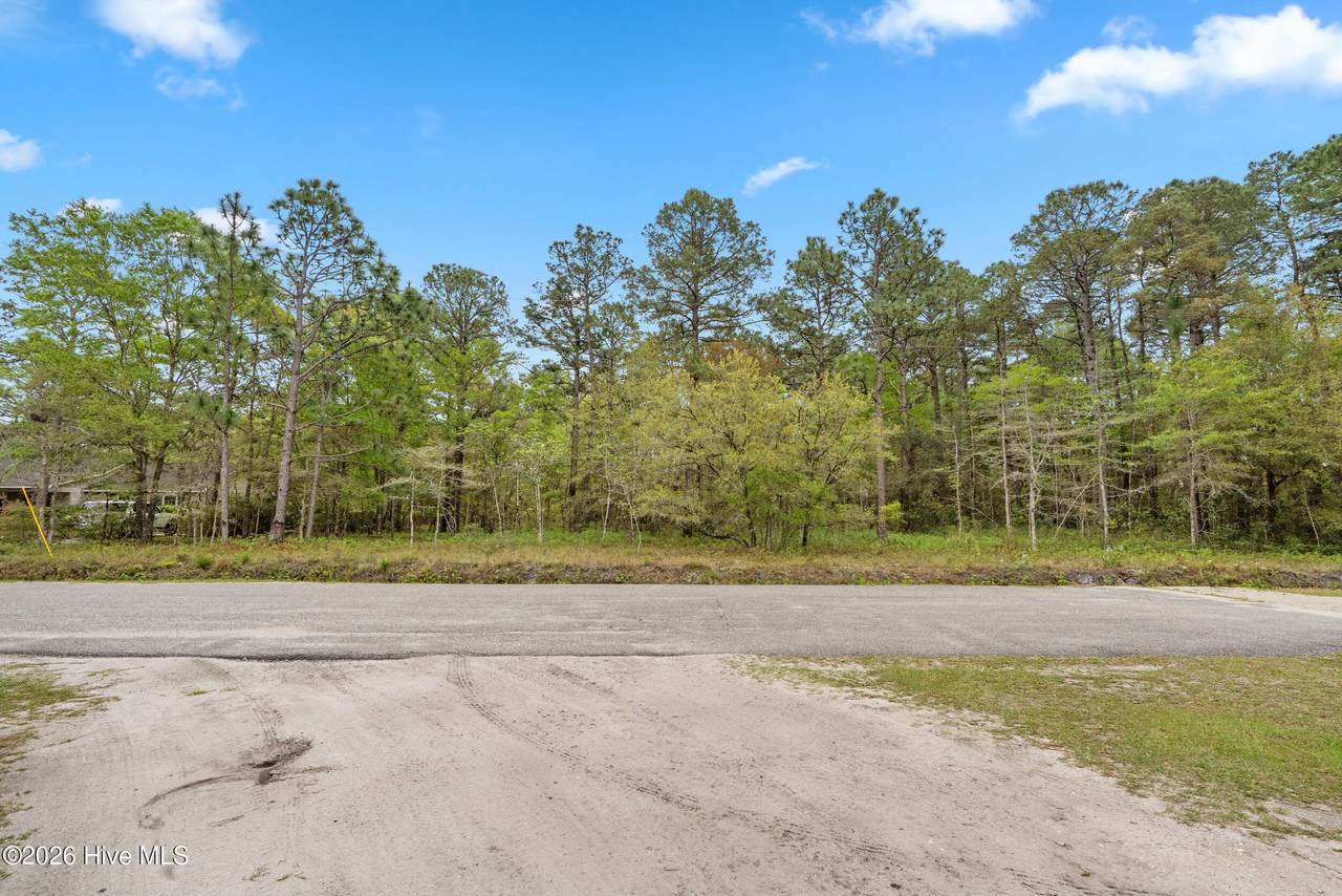 3 Deer Run Road - Photo 1