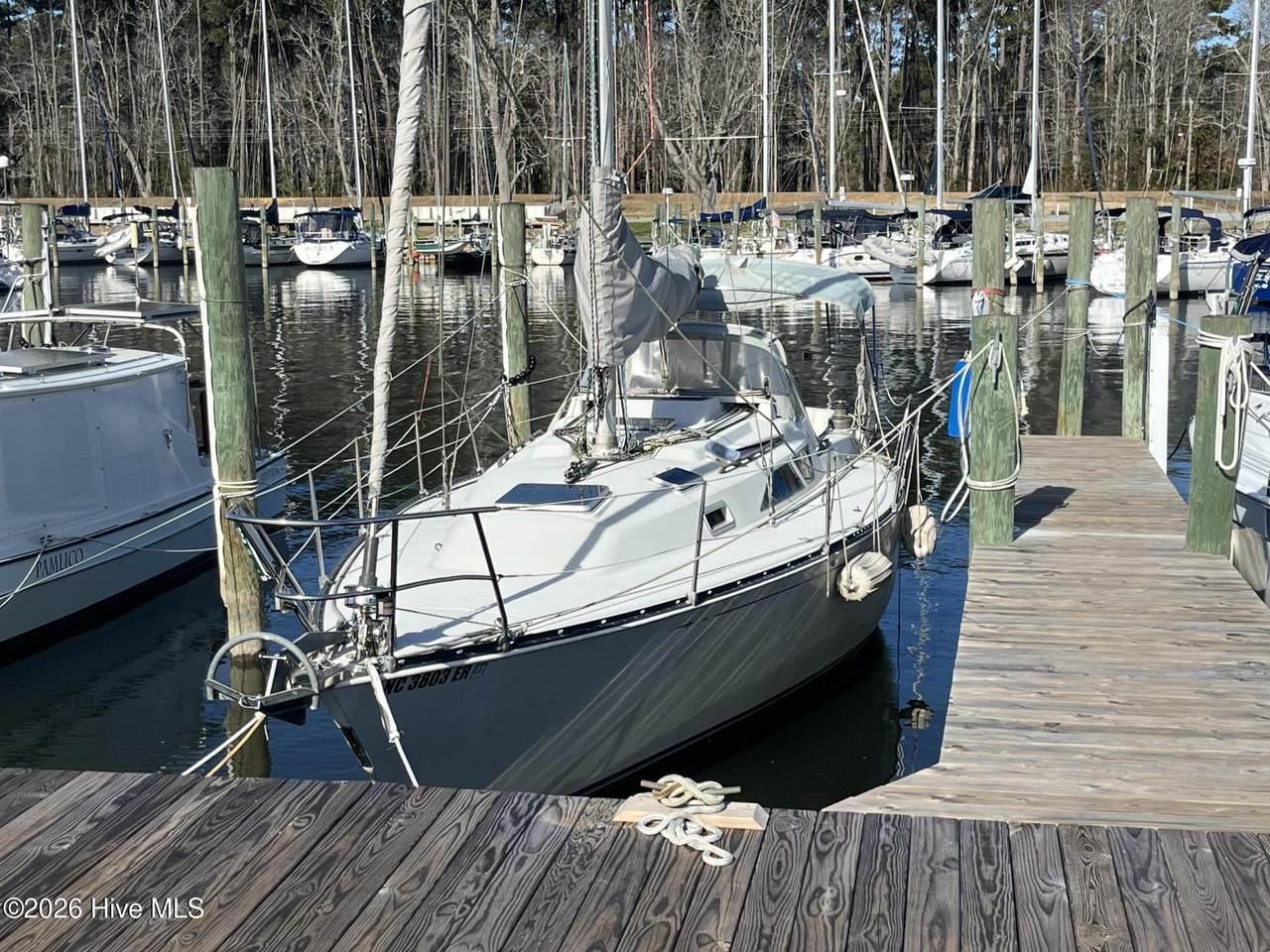 33 Pecan Grove Marina - Photo 1