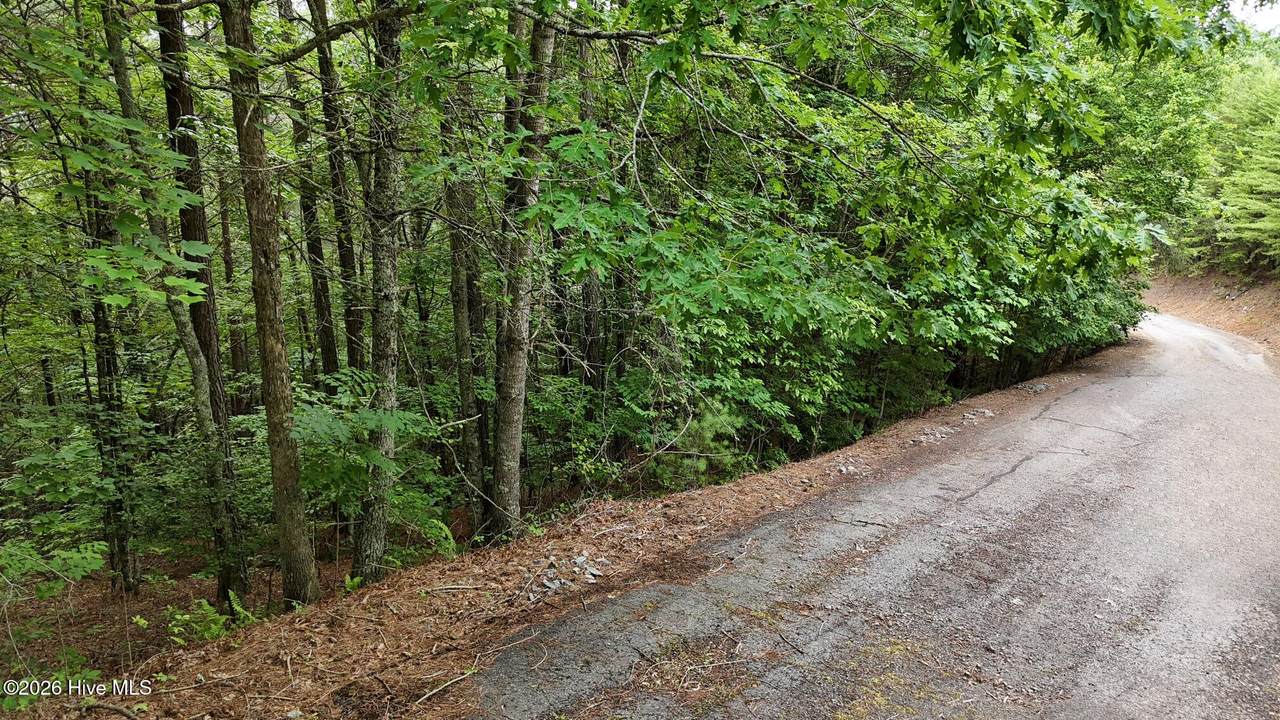 98-103 Choctaw Ridge Trail - Photo 1