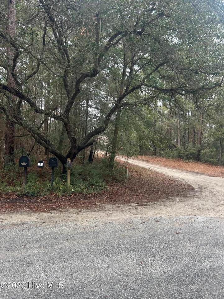 103 Dogwood Lane - Photo 1