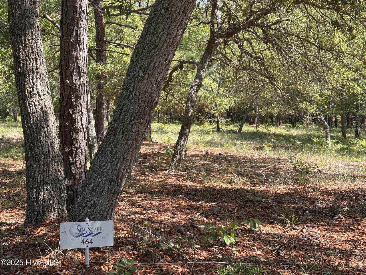 586 Maritime Way - Photo 1