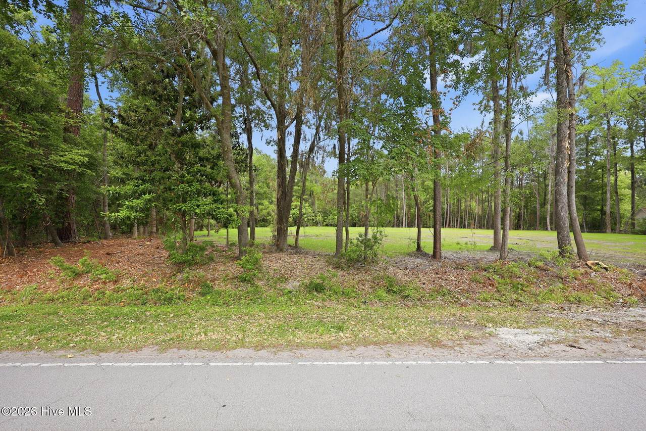 163 Trent Shores Drive - Photo 1