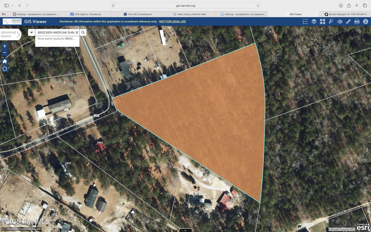 Tbd Brooks Mangum Road - Photo 1