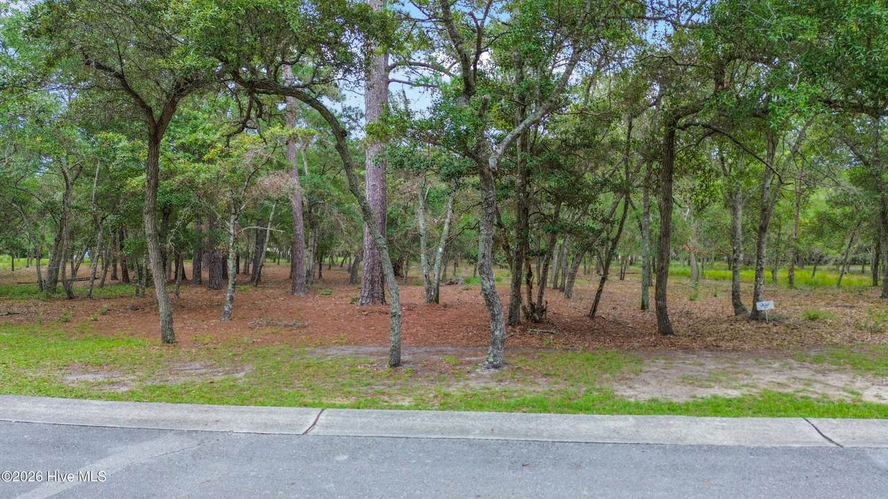 676 Parish Drive - Photo 1