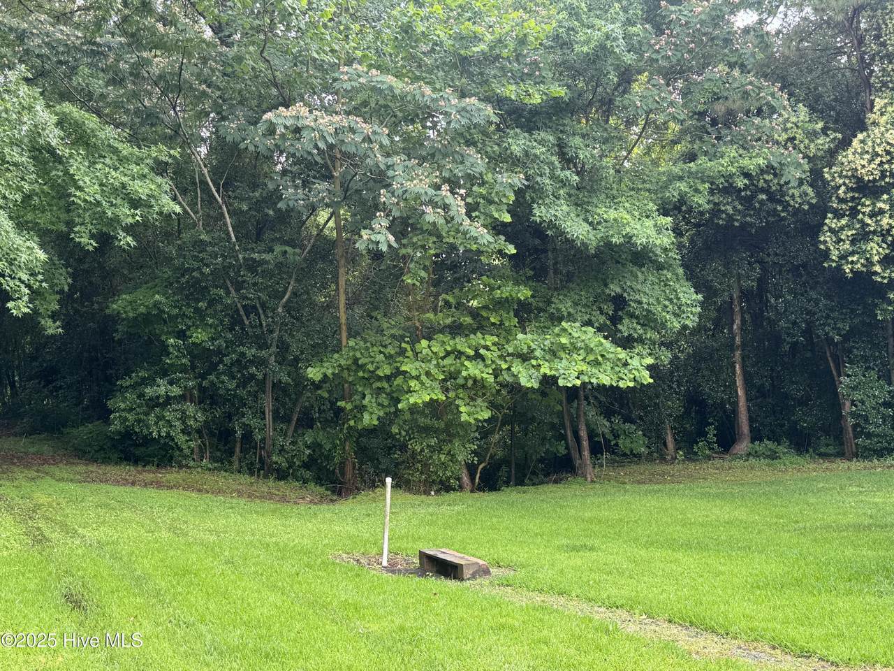 7569 Carey Road - Photo 1