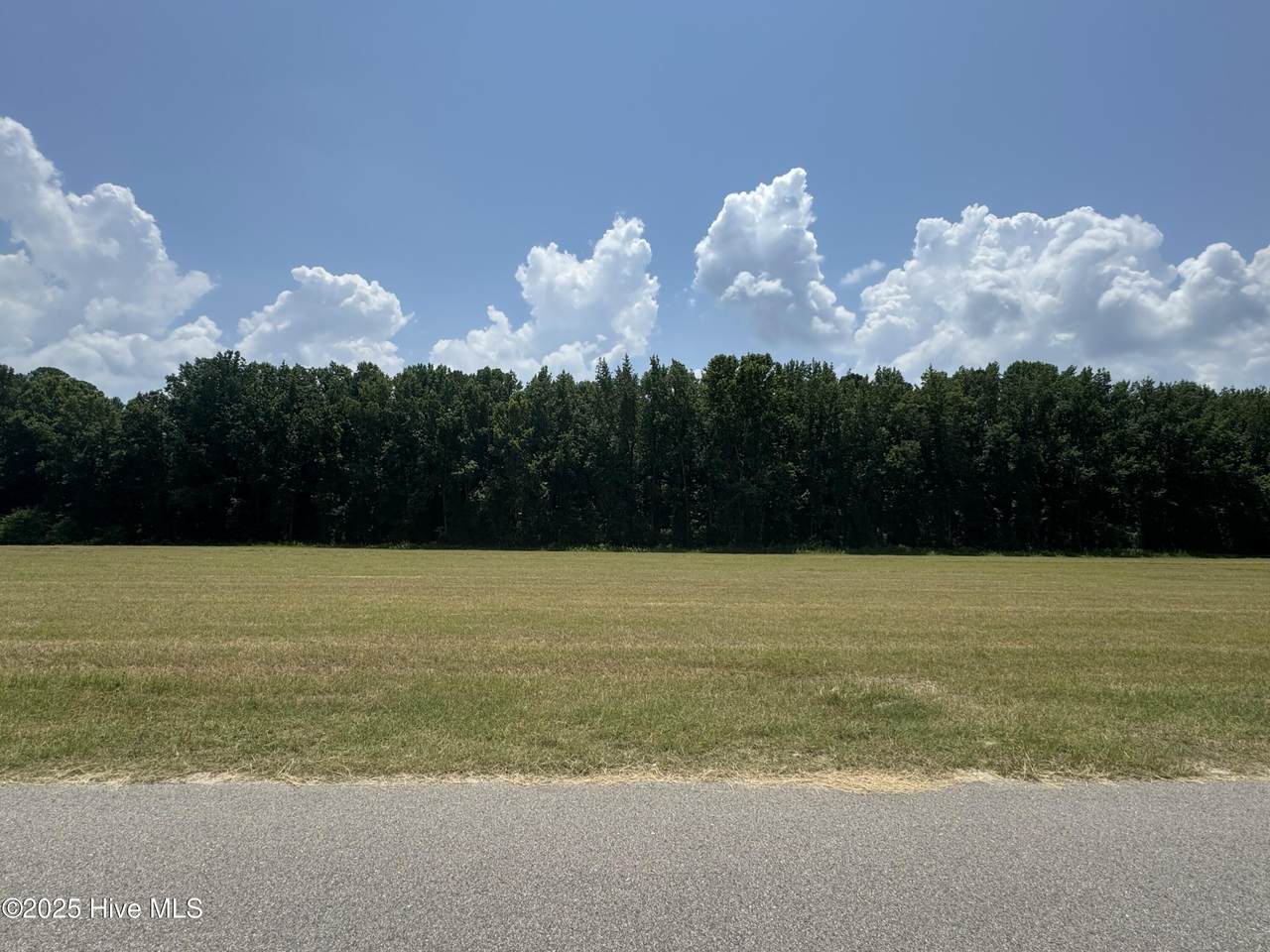 459 Perkins Road Road - Photo 1