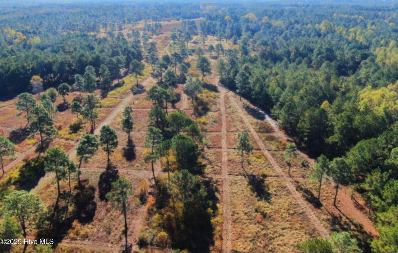 0 Magnolia-Lisbon Road - Photo 1