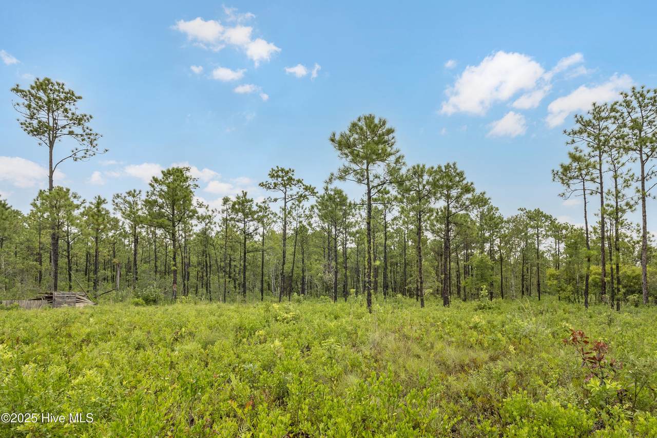 17 Hwy Off - Photo 1