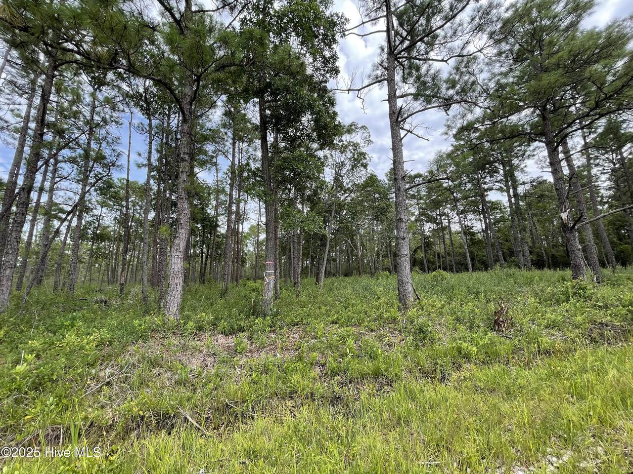 811 Brittany Road - Photo 1