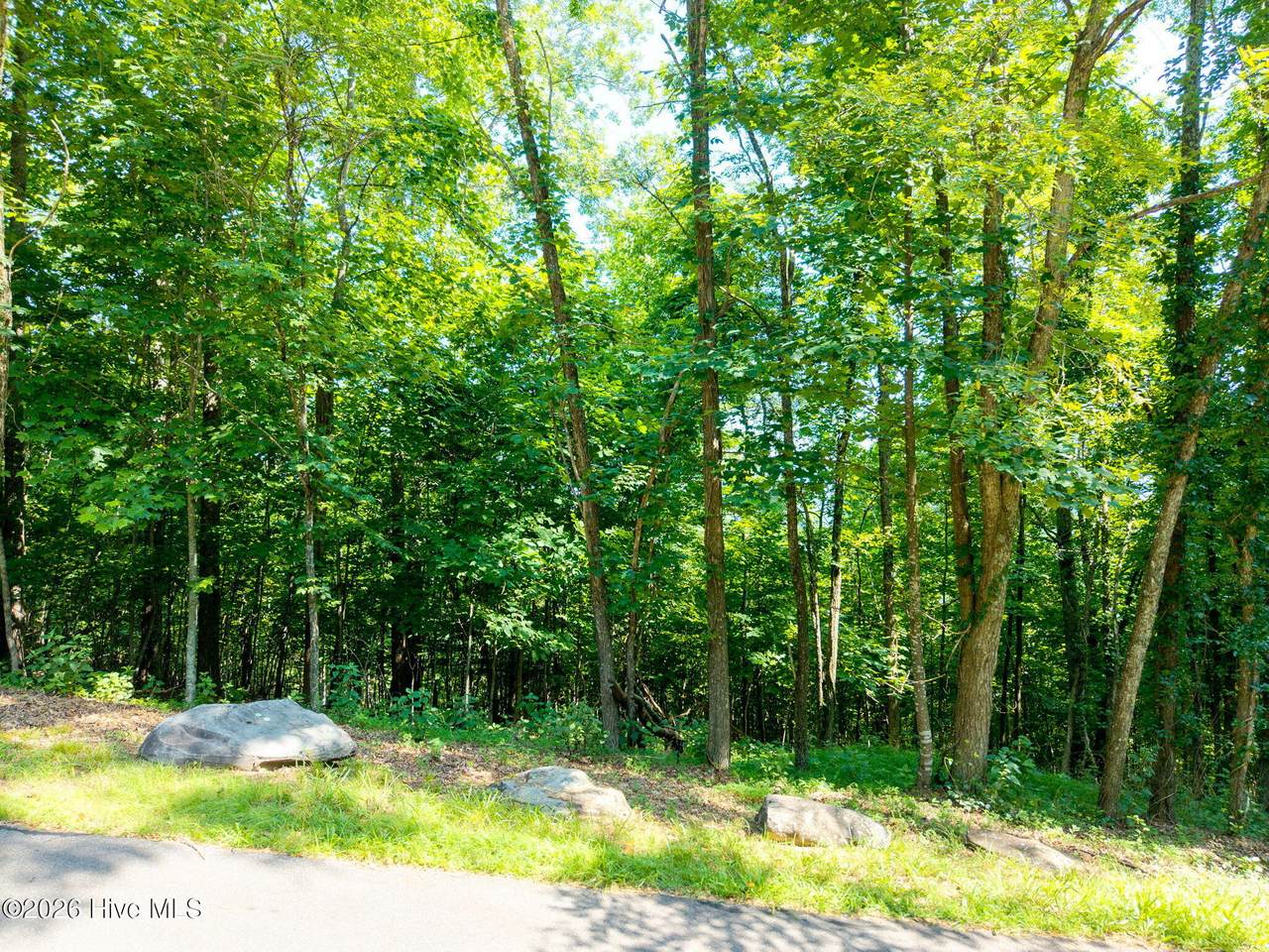 46 Buck Ridge Drive - Photo 1