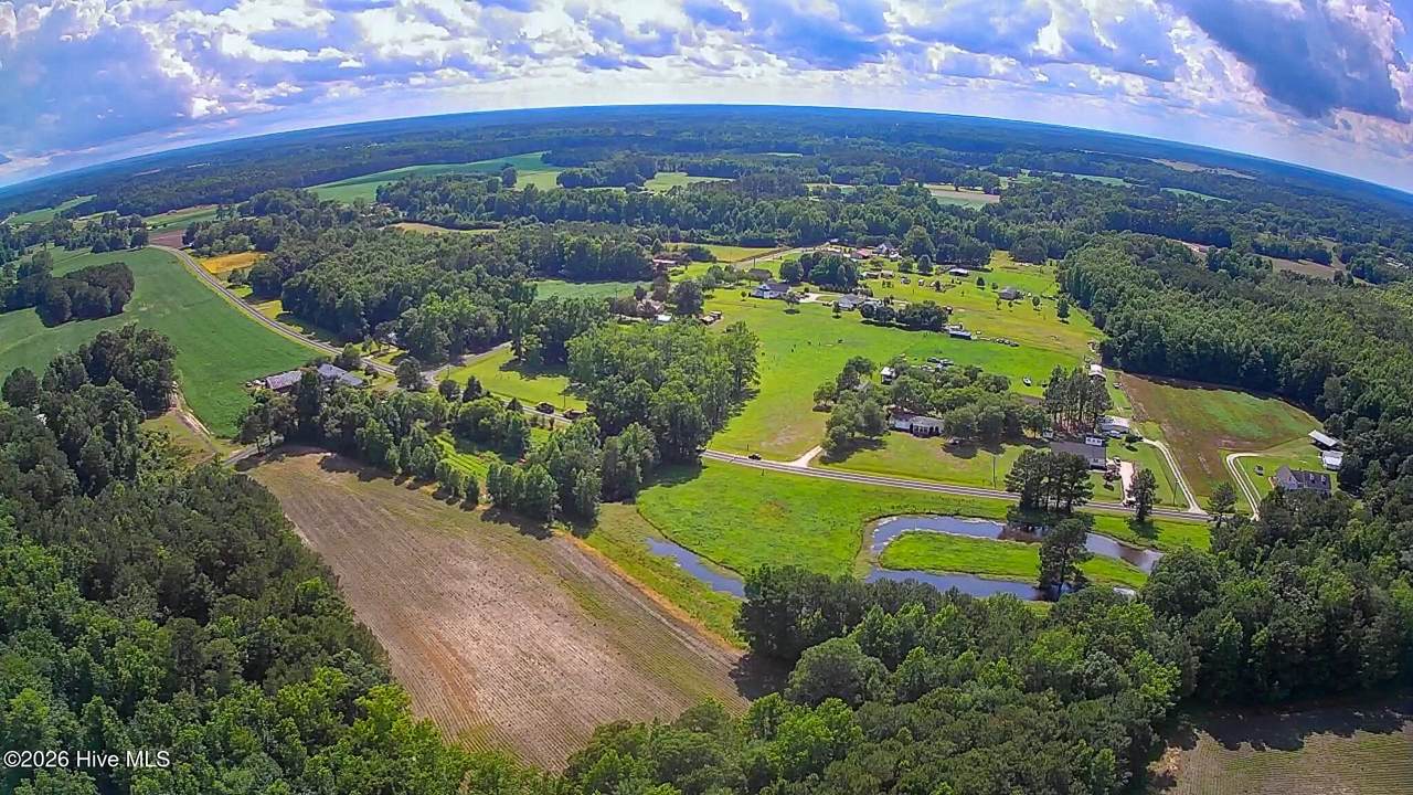 Lot 1 Near 2151 Dolph Lewi Road - Photo 1