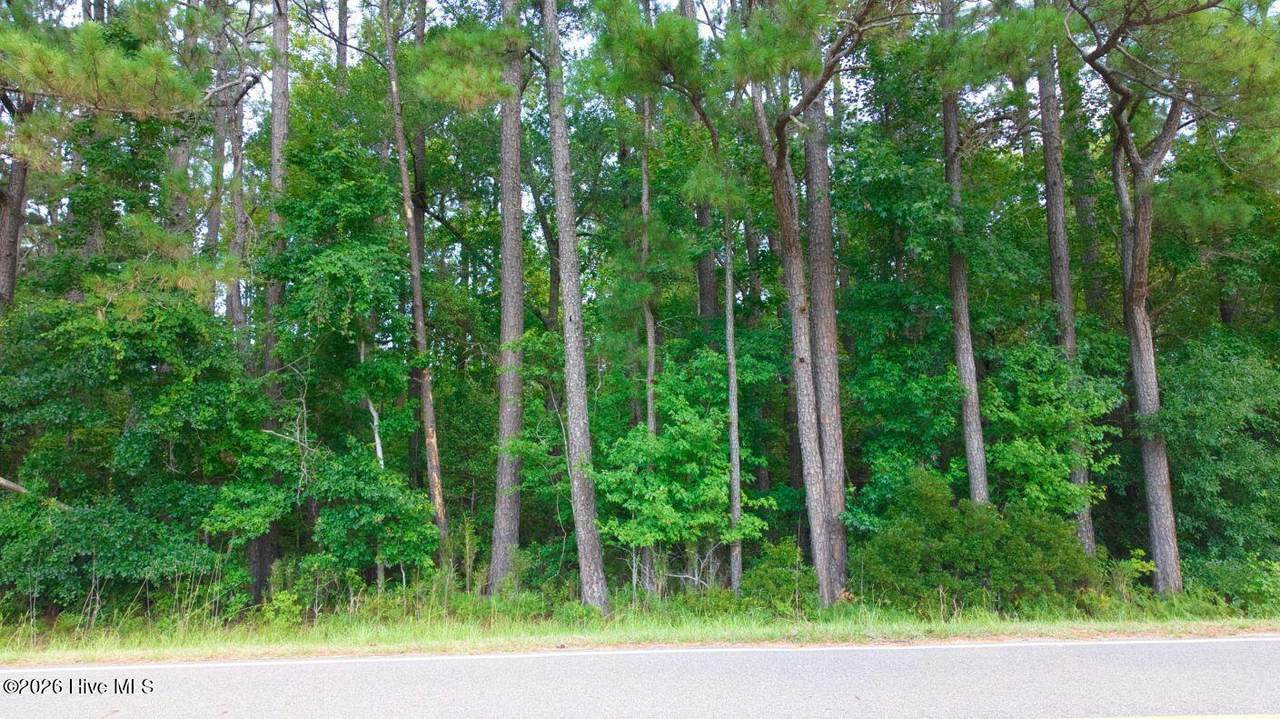 0000a Near 855 Furnie Hamm Road - Photo 1