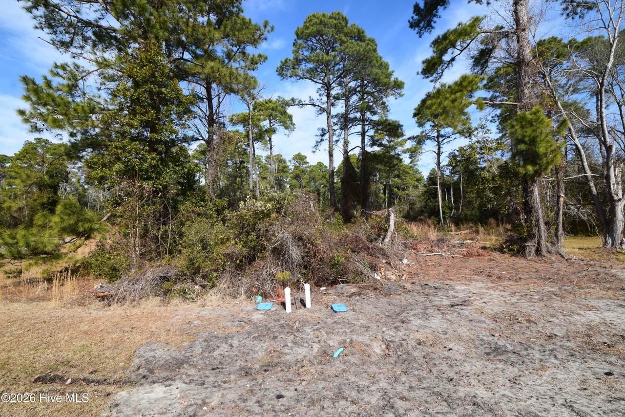 2202 Caracara Drive - Photo 1