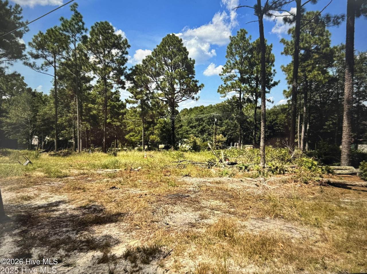 000 Wiregrass Road - Photo 1