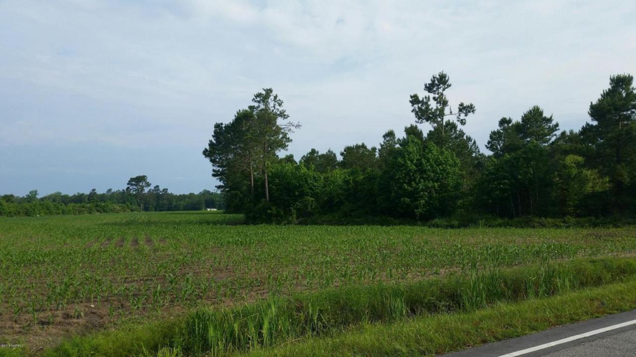 0 Ash Little River 70 Ac Road - Photo 1
