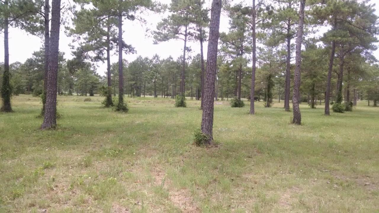 1060 Mayfair Way - Photo 1