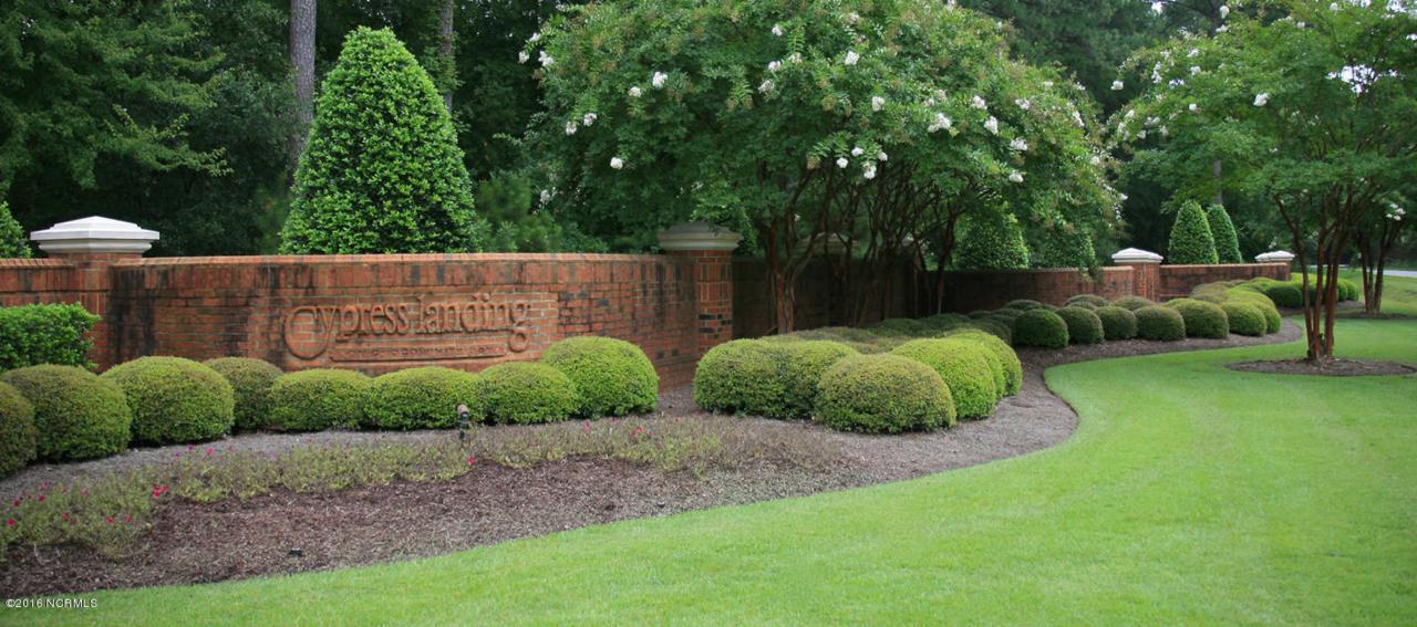 5 Thames Lane, Chocowinity, NC 27817 (MLS #100019294) :: Century 21 Sweyer & Associates