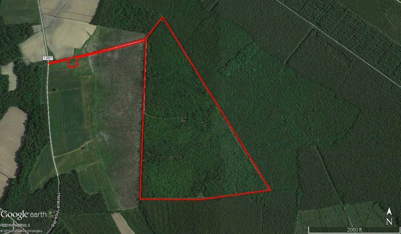 234 Horace Vick Road, Kelford, NC 27847 (MLS #100022693) :: Century 21 Sweyer & Associates