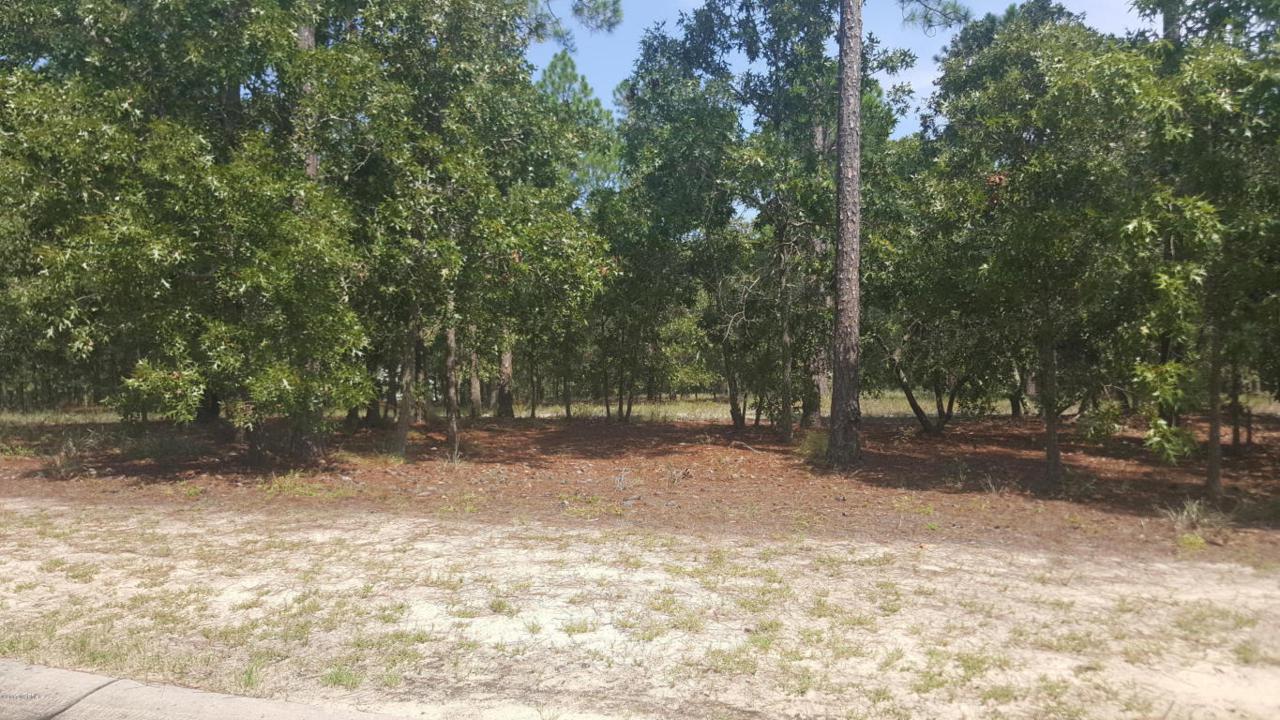 554 Del-Sol Circle - Photo 1