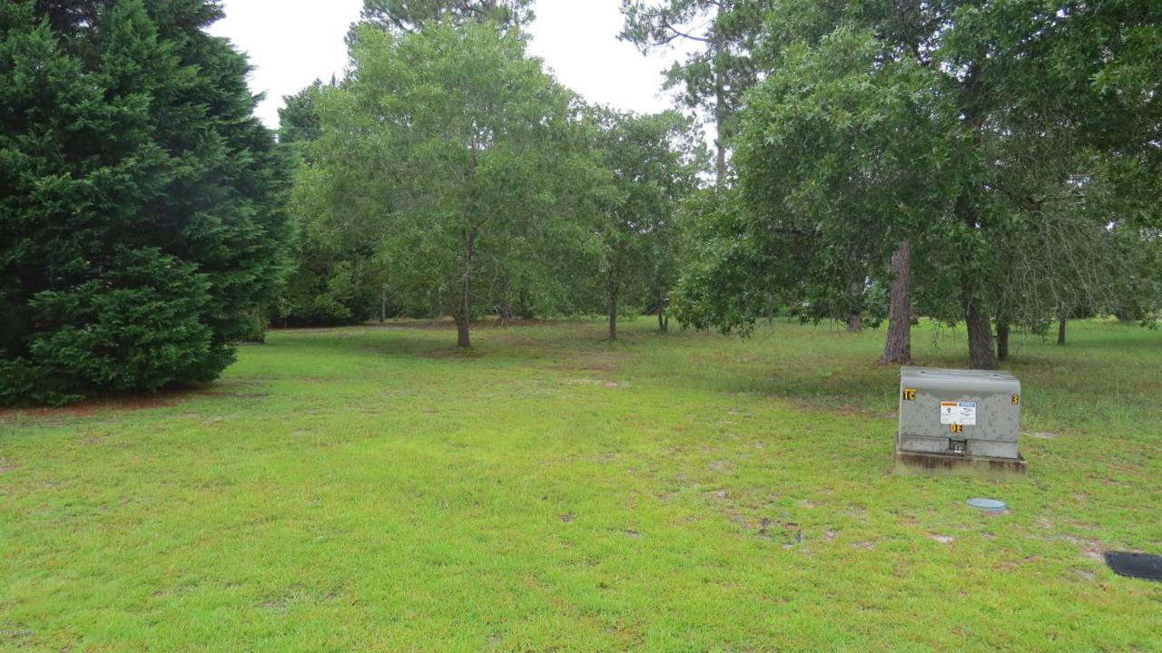 1572 Brushwood Court - Photo 1