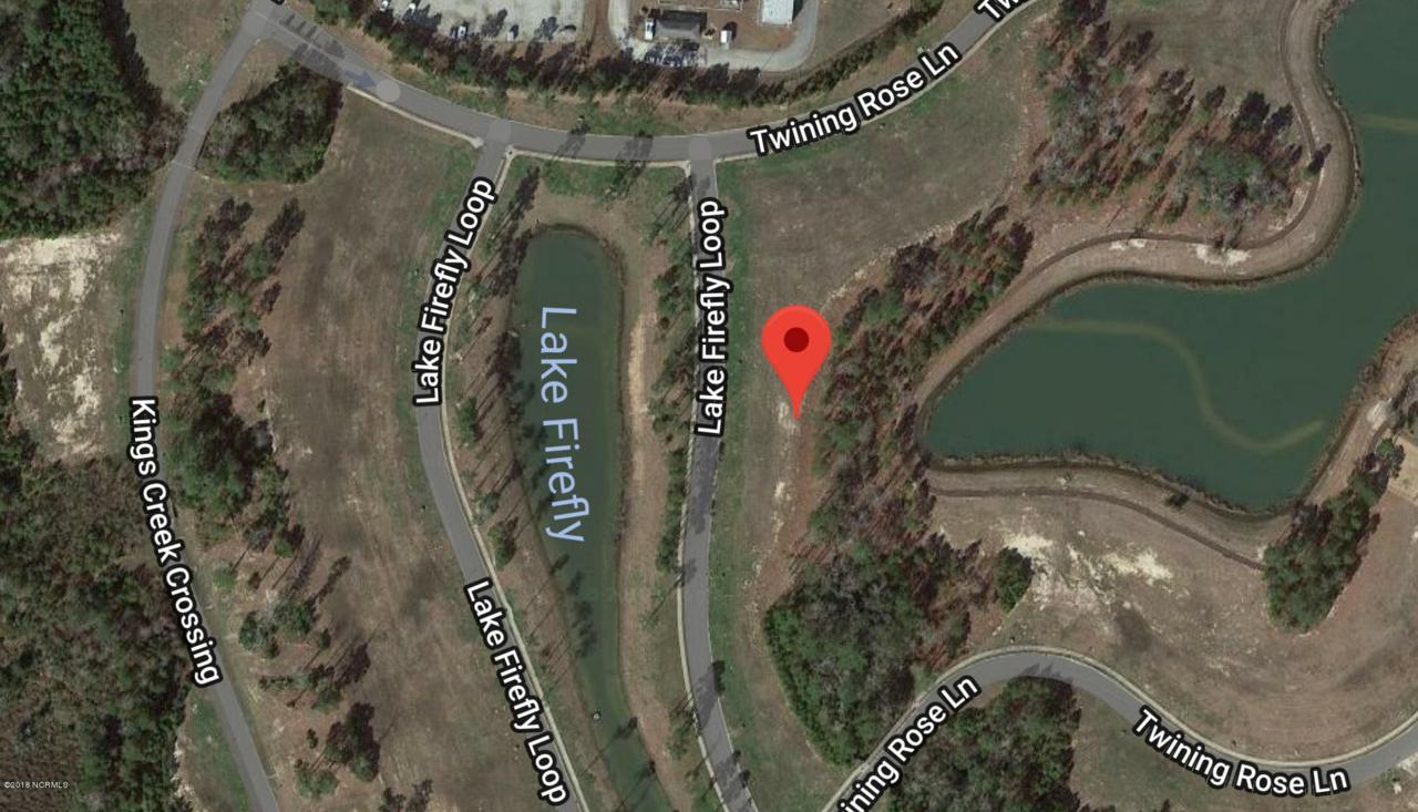 396 Lake Firefly Loop Loop - Photo 1