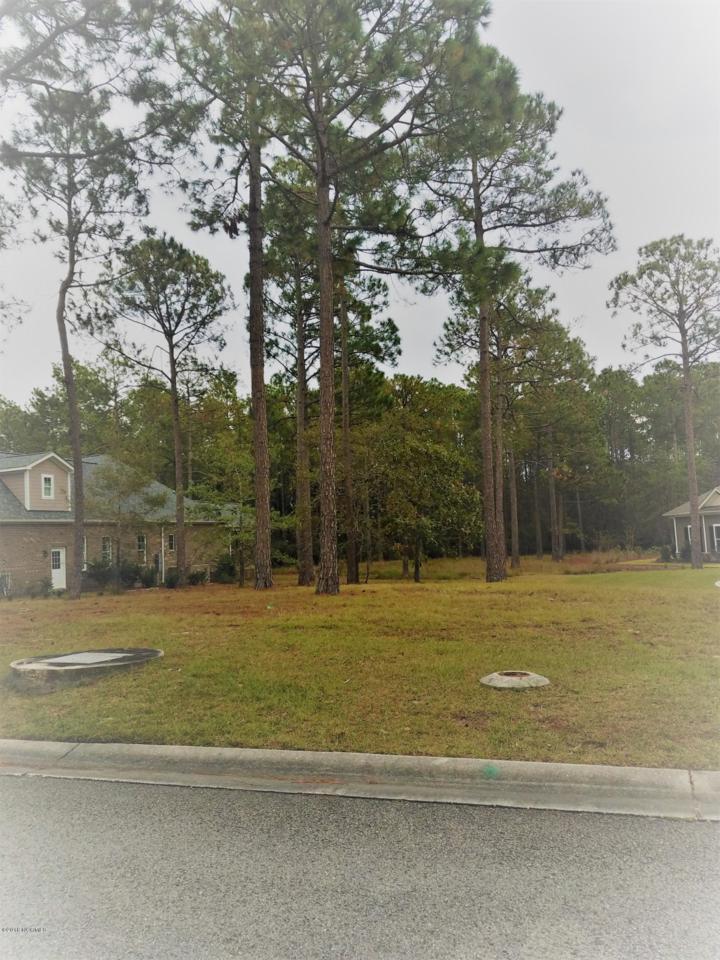 1704 Timbervale Court - Photo 1