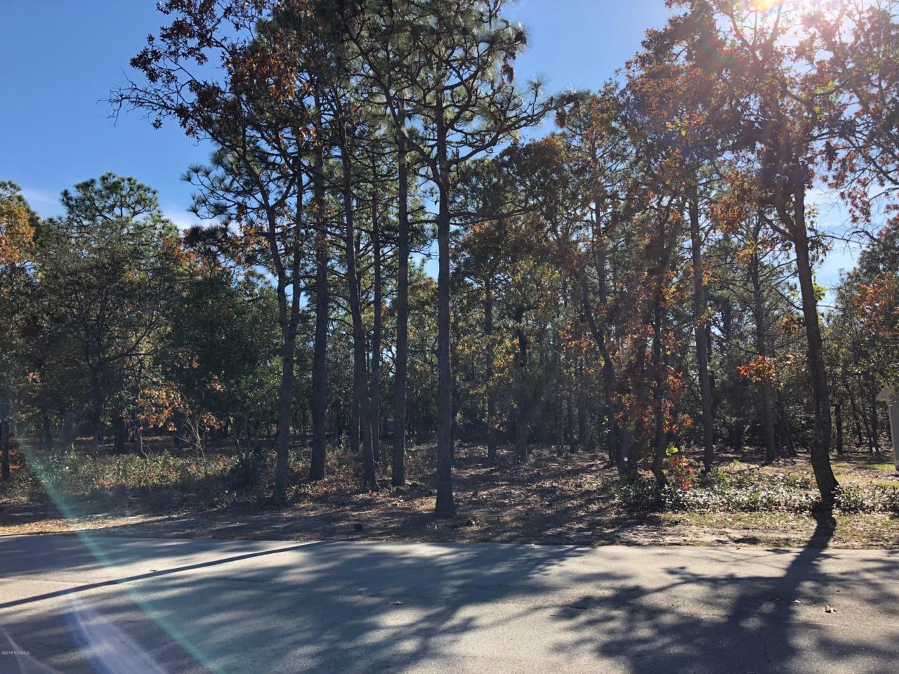 793 Folly Drive - Photo 1
