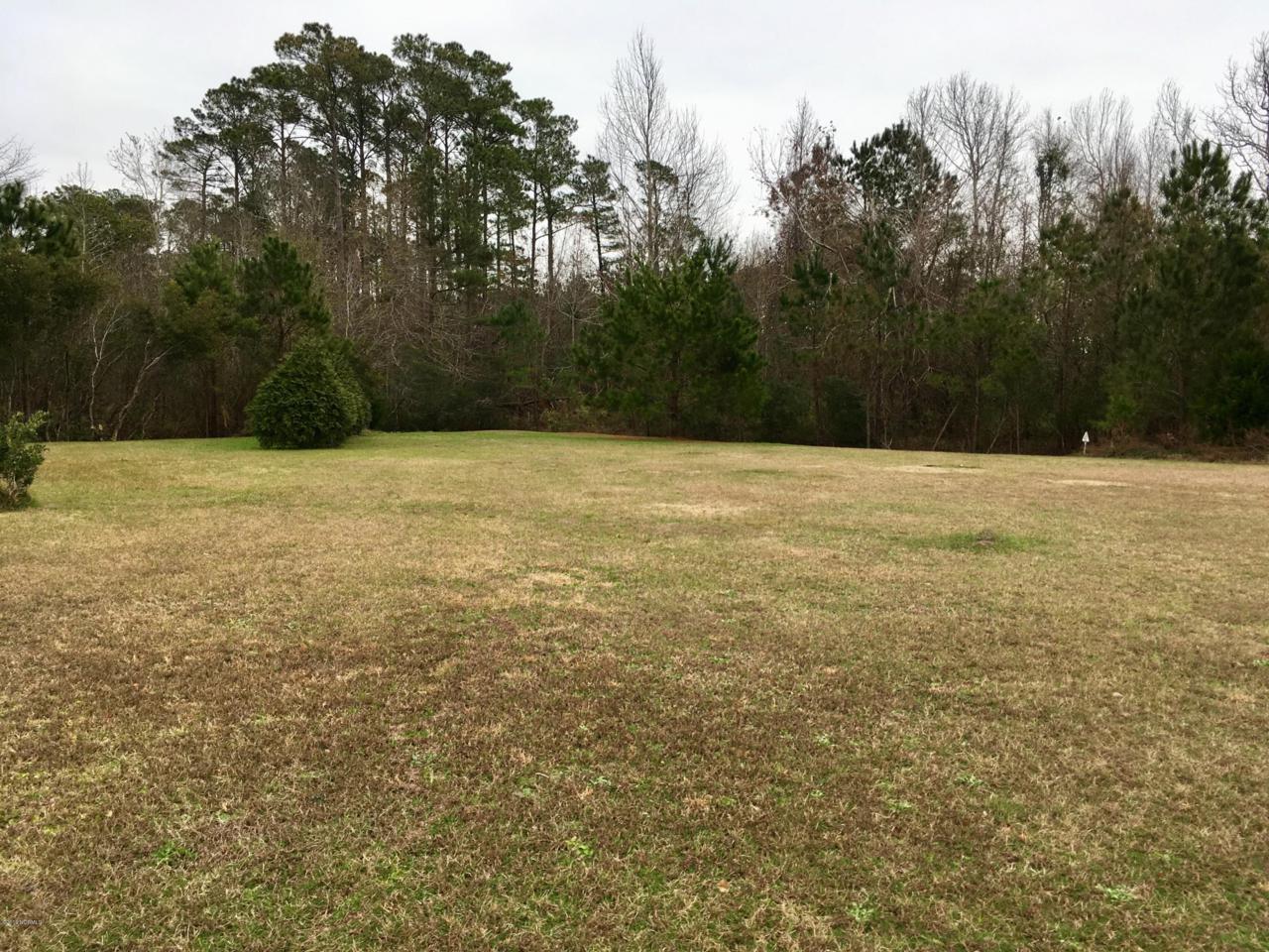 109 Snap Dragon Circle - Photo 1