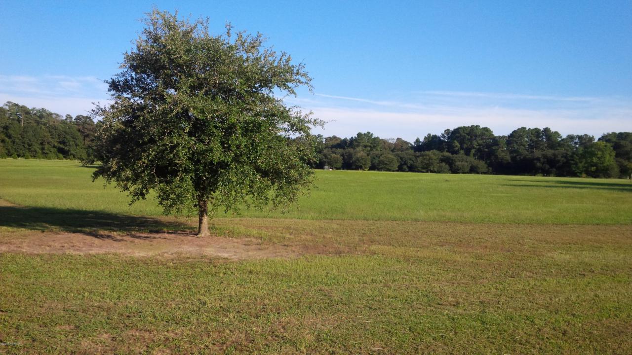 184 Buck Branch Drive - Photo 1