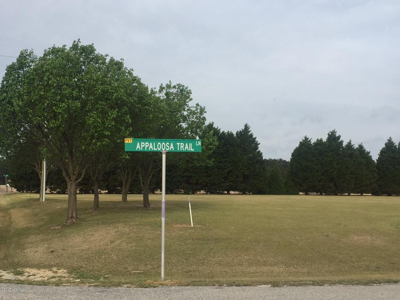 Lot 1 Appaloosa Trail - Photo 1