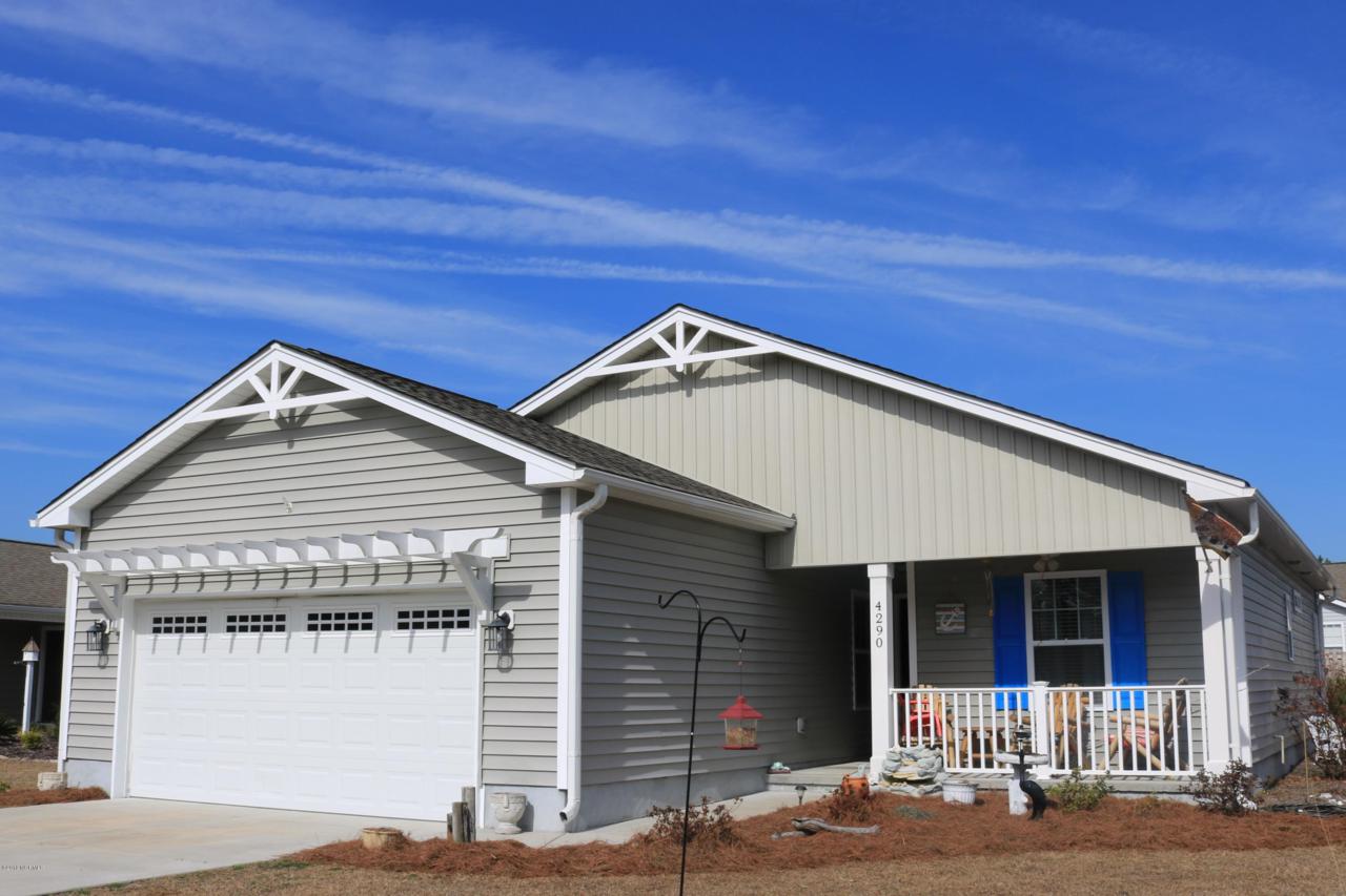 4290 River Birch Drive - Photo 1