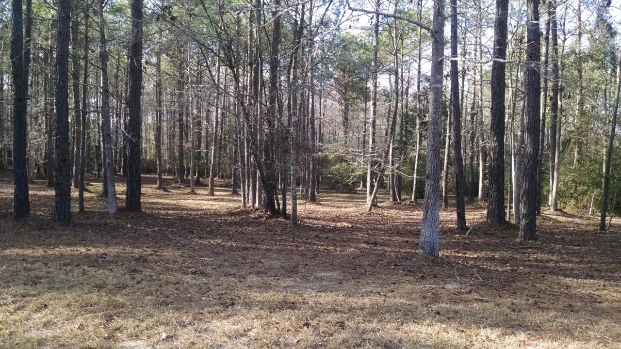 510 Lindgrove Place - Photo 1