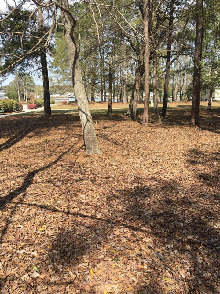 9308 Whisper Park Drive - Photo 1