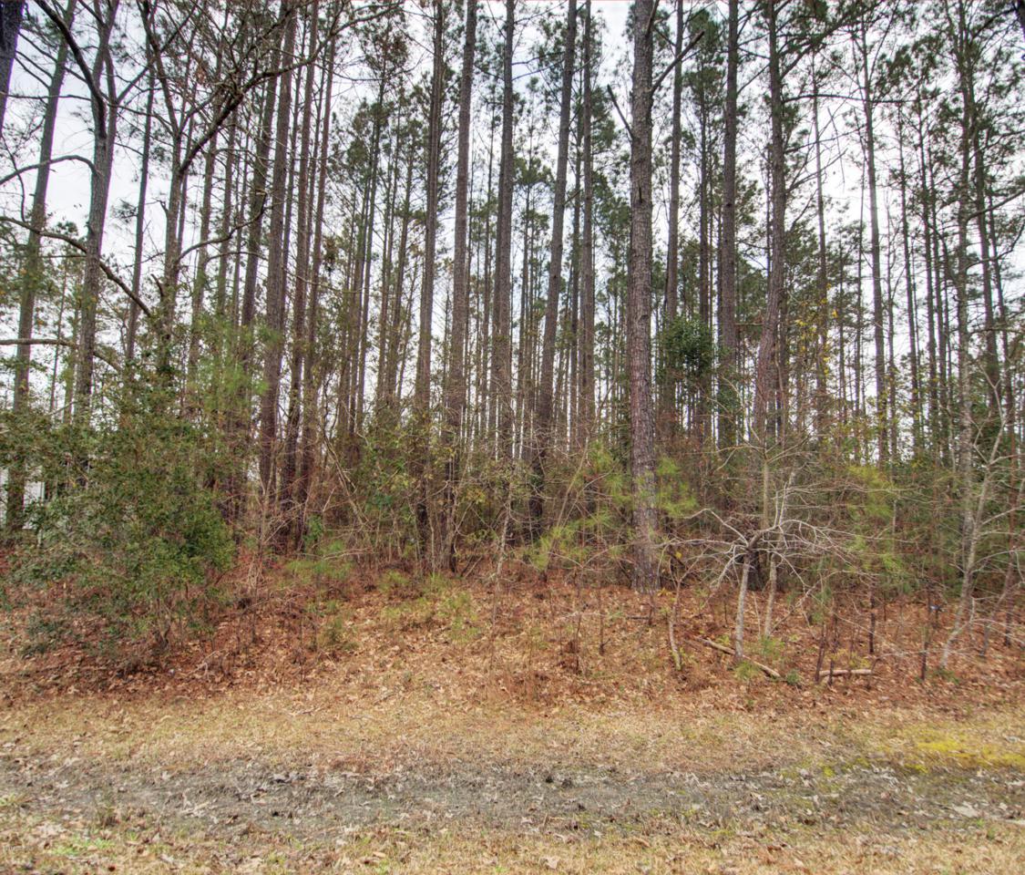 203 Hadnot Drive - Photo 1