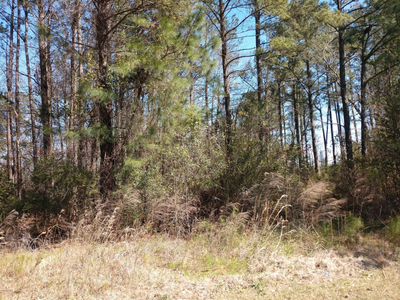 000 Hines Farm Road - Photo 1