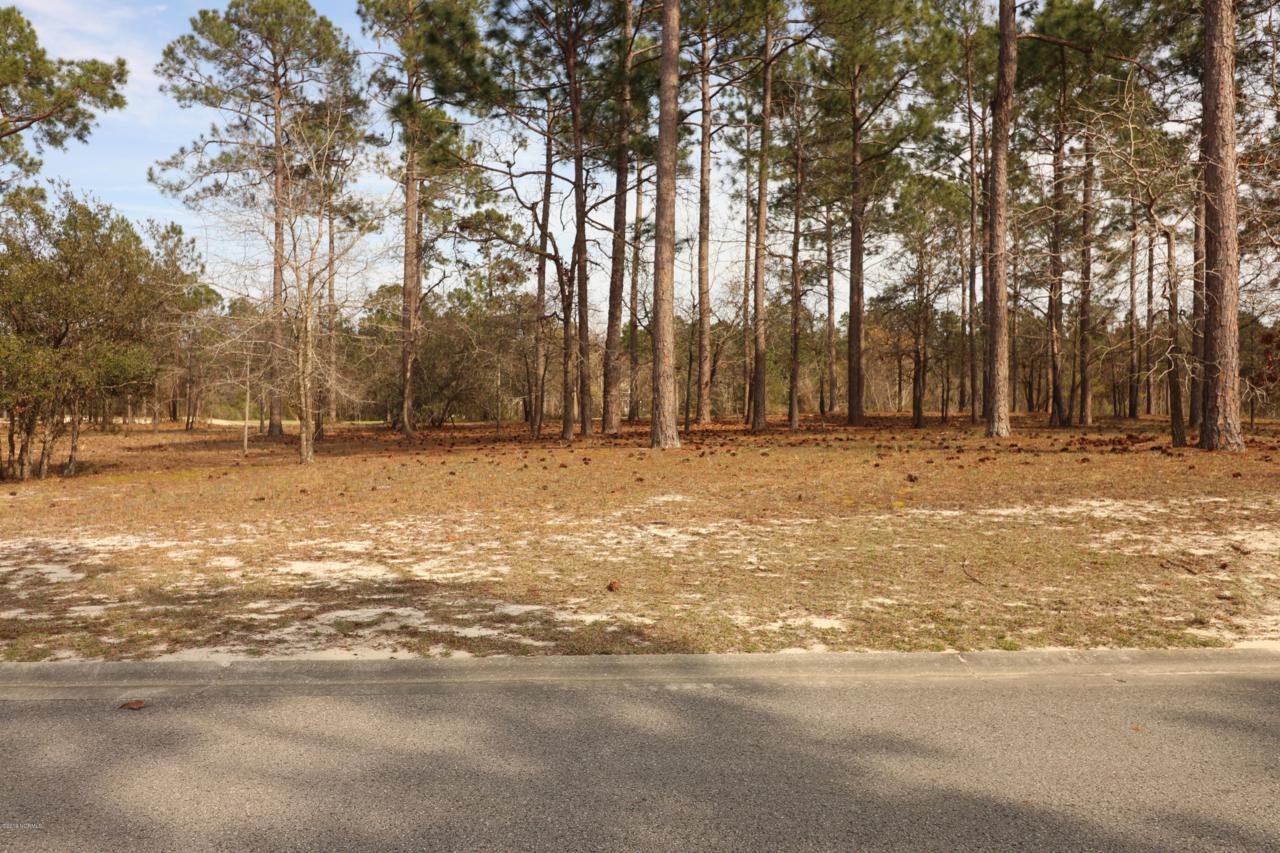 1514 Hidden Oaks Lane - Photo 1