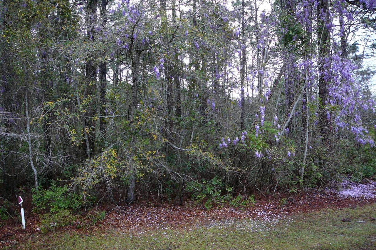 Lot 20 Greenwood Court - Photo 1