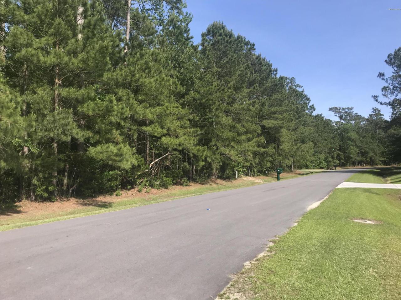 132 Little Creek Drive - Photo 1