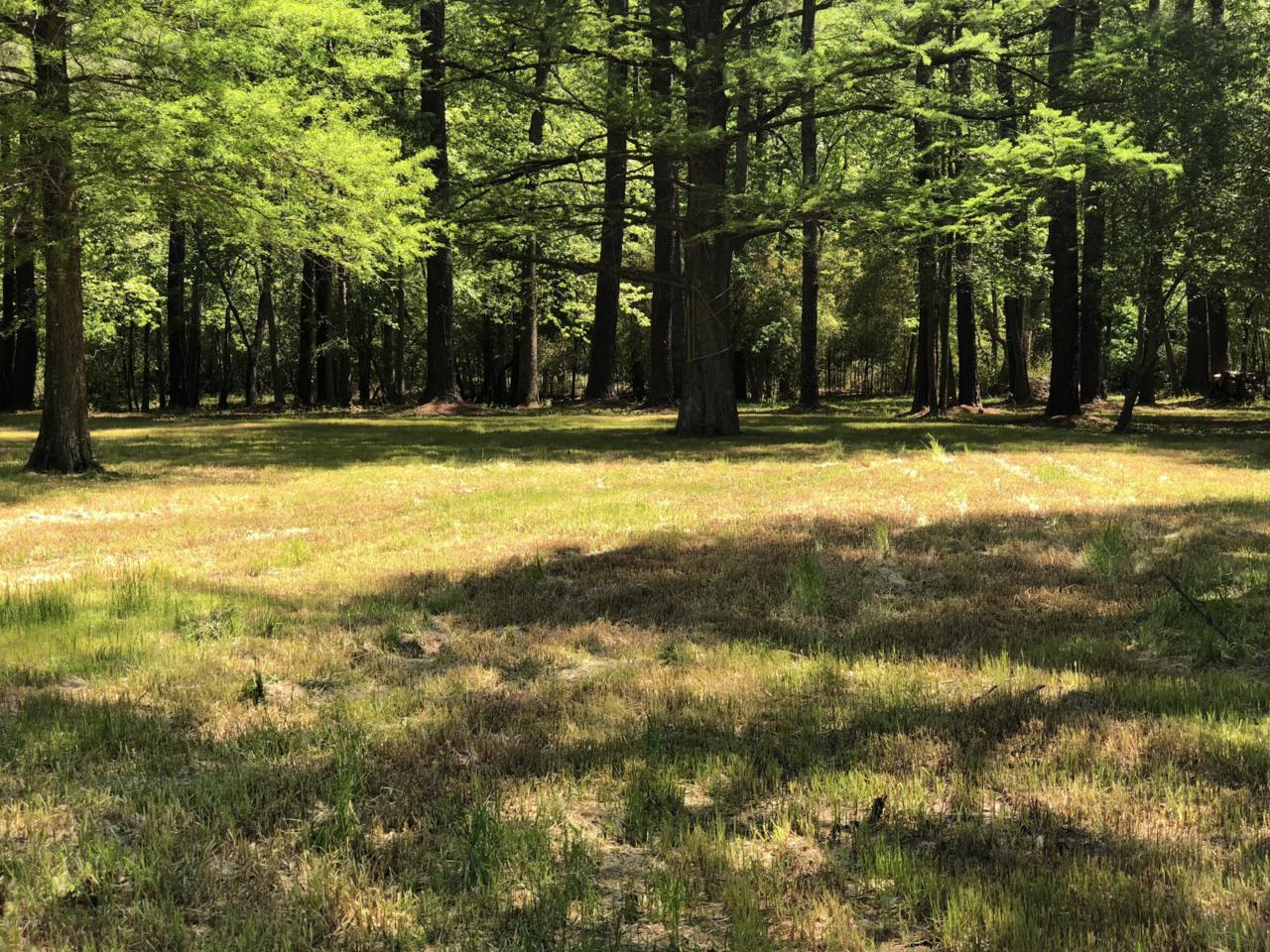 Lot 9 Wood Duck Drive - Photo 1